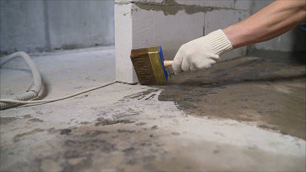 Top rated local Foundation Crack Repair specialists in Harrison, MI